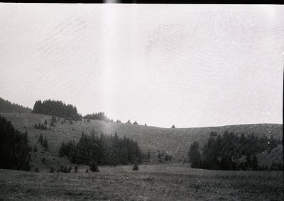 Vintage black-and-white landscape of forested rolling hills under overcast skies. Dense coniferous trees dominate the midgrou...