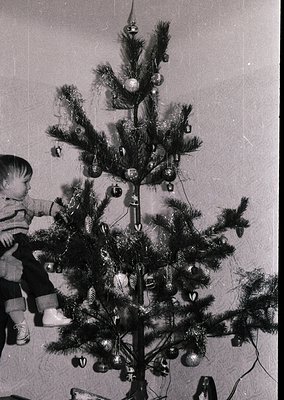 Vintage black-and-white photo of a child reaching toward a modestly decorated Christmas tree adorned with tinsel, glass baubl...