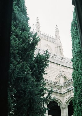 Gothic-style cathedral facade framed by dense evergreen trees, showcasing pointed arches, ornate tracery, and buttresses. Lik...