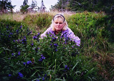 Woman kneeling among vibrant purple wildflowers in a lush, green meadow with evergreen trees in background. Likely 1990s-2000...