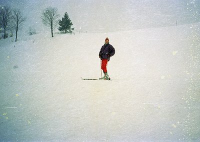 Solo skier in mid-glide on groomed snow, wearing red pants and dark jacket, set against sparse evergreens and flat terrain. L...