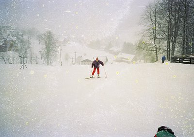 Snow-covered alpine slope with skier in red pants and dark jacket navigating heavy snowfall. Snow-laden trees and distant woo...