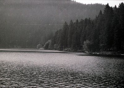 Black-and-white lakeside scene with dense coniferous forest lining the shore, reflecting muted light. Mid-20th century compos...