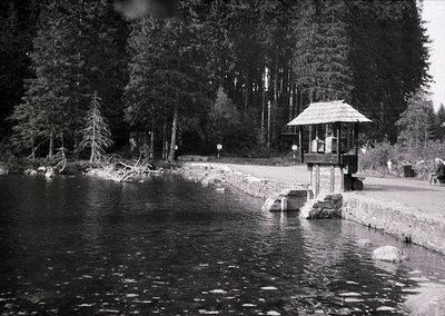 Mid-20th century lakeside pavilion beside a calm water body, surrounded by dense coniferous forest. Stone steps lead to a sma...