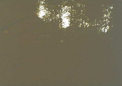Aerial view of shallow, murky water reflecting sparse tree foliage. Likely a river or lakebed with low water levels, exposing...
