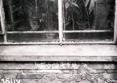 Dilapidated brick exterior with aged double-pane windows showing cracked glass and embedded potted plants. Reflections reveal...