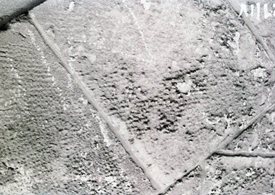 Close-up of weathered concrete surface with visible cracks and erosion, likely from urban infrastructure. The texture suggest...