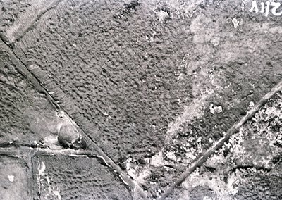 Aerial black-and-white photo of agricultural land divided by straight field borders, likely post-WWII. Noticeable erosion and...