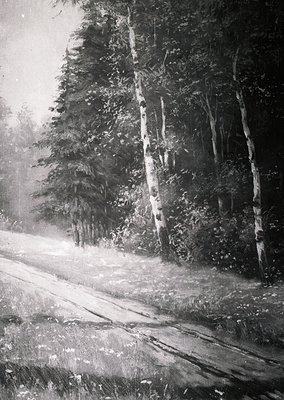 Monochrome forest road scene with snow-covered pine trees lining both sides. Light filters through branches, illuminating the...