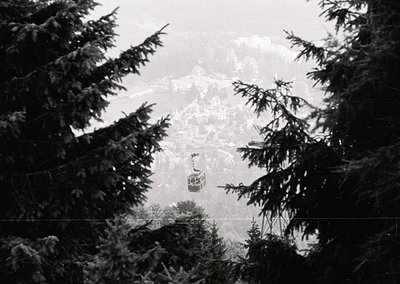 Mid-20th century alpine cable car suspended between dense coniferous trees, framed by snow-laden branches. Fog obscures dista...