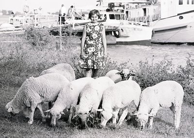 Young girl in a floral dress stands beside a line of grazing sheep in a rural setting, likely mid-20th century. Industrial bo...