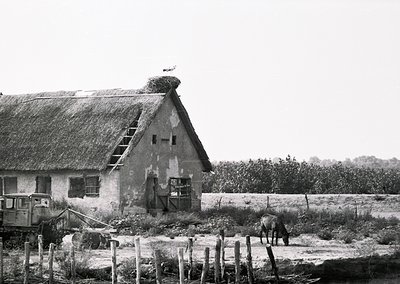 Rustic thatched-roof farmhouse with weathered stone walls, likely mid-20th century. A horse grazes in an open field bordered ...