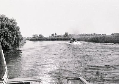 Vintage black-and-white photo of a small motorboat navigating a narrow, reed-lined waterway. Overcast skies and rippled water...