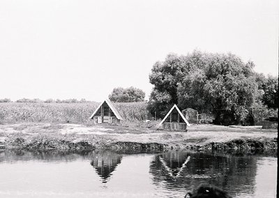 Rustic lakeside huts with triangular roofs, partially submerged in shallow water, surrounded by reeds and willow trees. Refle...