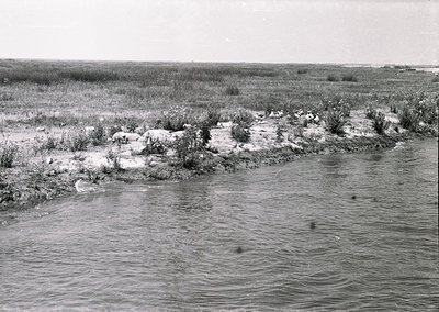 Ruined concrete structures partially submerged in shallow water, surrounded by sparse vegetation and open marshland. Likely m...