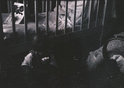 Black-and-white prison cell interior with barred window revealing another inmate seated on a bunk. Visible are a metal bed fr...