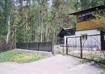 Rural wooden house nestled in a forested area, featuring a gated driveway with yellow wildflowers. The structure has a mix of...