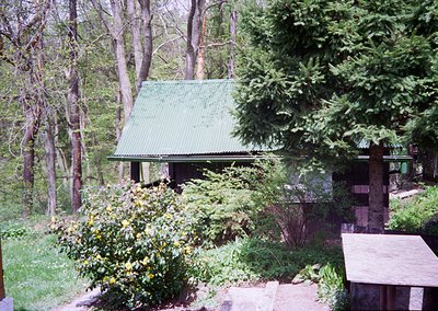 Mid-century wooden cabin nestled in dense forest, featuring a gabled green metal roof and rustic brick chimney. Surrounded by...