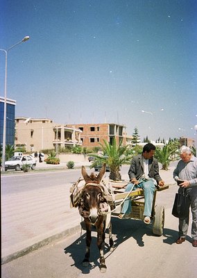 Vintage street scene featuring a man driving a donkey cart with two seated passengers. Urban setting with mid-rise concrete b...