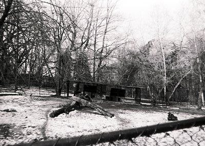 Snow-covered forest clearing with a single-story wooden structure, likely a cabin or shelter, partially obscured by leafless ...