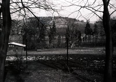 Winter landscape through leafless trees, framed by barbed wire. Snow-covered ground and distant hillside with sparse resident...