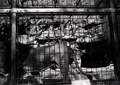 Black-and-white mural depicting a dramatic battle scene behind iron bars, likely from a 19th-century European church or cathe...