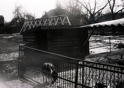 A black-and-white photograph of a small, rustic animal shelter with a triangular metal roof and wooden walls, enclosed by a c...