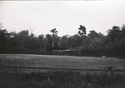 Black-and-white rural scene featuring a modest wooden structure surrounded by dense forest. Open field with sparse vegetation...