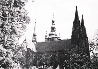 Gothic cathedral spires and domes framed by bare winter trees, likely European. Distinctive pointed arches and ornate rooflin...