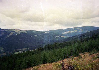 Vintage landscape shot of dense coniferous forests rolling into misty mountain ridges under overcast skies. Distinctive layer...