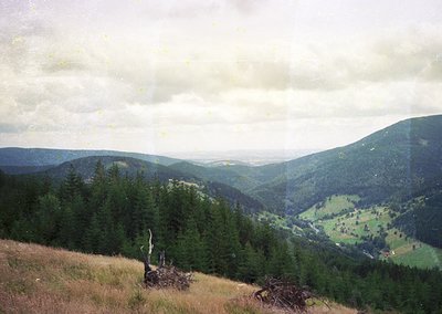 Vintage-style mountain valley with dense coniferous forests and rolling green hills under overcast skies. Distinctive dry, go...