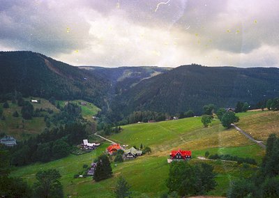 Aerial view of alpine valley with dense forest-covered slopes and scattered farmhouses. Green pastures dominate the foregroun...