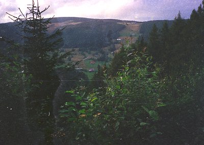 Lush valley framed by dense forest, misty hills in background under overcast skies. Vibrant greenery dominates foreground wit...