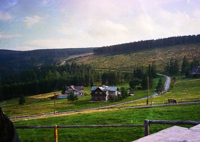 Vintage alpine village scene with rustic wooden chalets nestled in rolling green hills. A single horse grazes near a winding ...