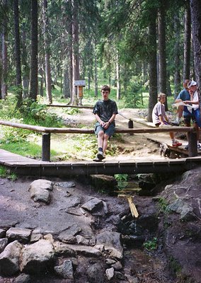 Wooden boardwalk bridge in a dense forest, with three young men posing. One sits on the railing, another stands on the bridge...