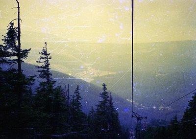 Contrast-rich alpine forest scene viewed through a fogged or scratched glass surface, distorting clarity. Dense evergreen tre...