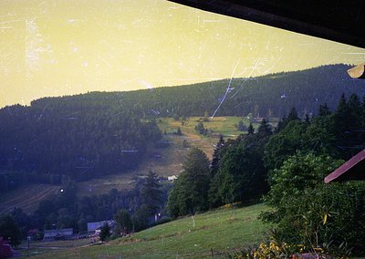 Vintage aerial view of forested valley with dense coniferous trees framing a central meadow. Yellowed edges suggest mid-20th ...