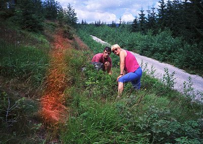 Two individuals explore a lush, grassy trail in a forested area, likely mid-20th century. The woman in a pink tank top and bl...
