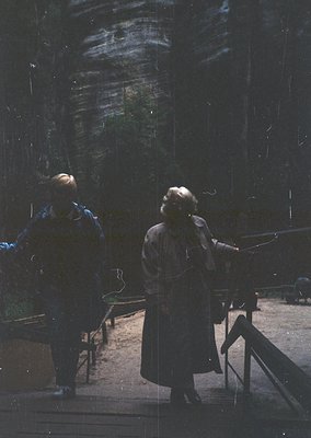 Two figures in 1970s-style coats and hats stand on a rain-soaked wooden boardwalk, gazing into a misty forest. The blurred gr...