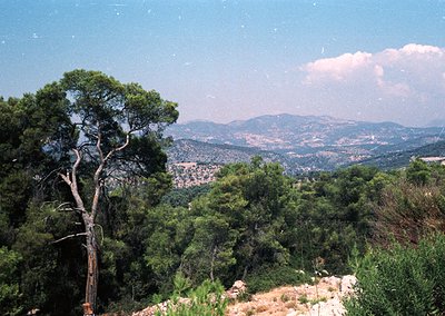 Striking panoramic view of rugged Mediterranean hills under clear skies, with sparse pine trees framing the foreground. Rolli...