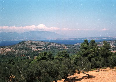 Vast coastal landscape with rolling hills, dense pine forests, and a distant mountain range under clear skies. The horizon fe...