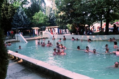 Outdoor public pool filled with swimmers in a lush, tree-lined area. Concrete edges and a diving platform visible. Mid-20th c...