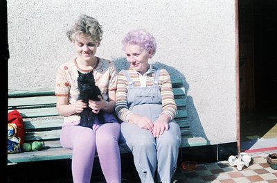 Two women sit on a wooden bench holding a black cat, likely from the 1970s. The woman on the left wears a floral blouse, purp...