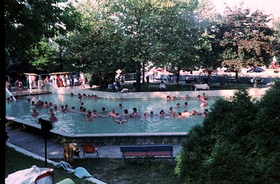 Vintage outdoor swimming pool filled with people in 1970s-style swimwear, surrounded by lounge chairs and shaded by mature tr...