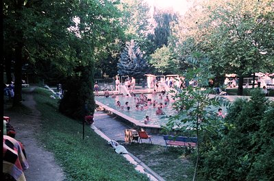Vintage outdoor swimming pool surrounded by lush greenery, likely from the 1970s. Concrete steps lead into shallow and deep s...
