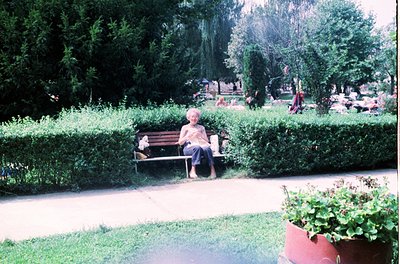 A serene park scene from the 1970s–1980s, featuring an elderly woman seated on a wooden bench surrounded by manicured hedges....