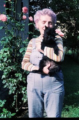 Mid-20th century portrait of an elderly woman holding a black cat amidst blooming pink roses. She wears striped overalls and ...