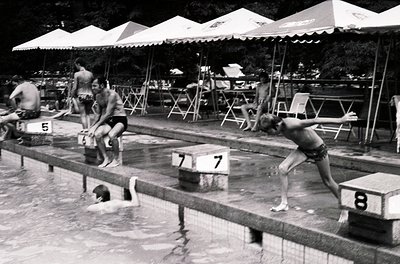 Black-and-white shot of an outdoor swimming pool with numbered lanes (5, 7, 8) and competitive divers mid-dive. Umbrellas bra...