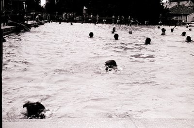 Black-and-white shot of a crowded outdoor swimming pool, likely from the 1960s–1970s. Numerous swimmers, including children a...