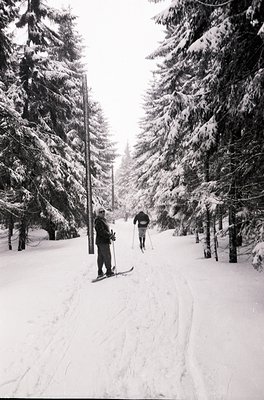 Black-and-white winter scene of two cross-country skiers on a groomed trail through snow-laden coniferous forest, likely Euro...